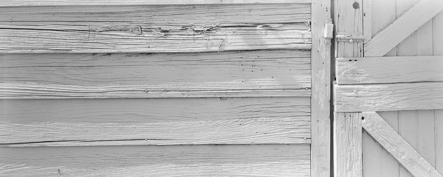 Barn Door Detail, New Egypt, NJ 2007
